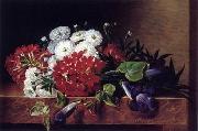 unknow artist, Floral, beautiful classical still life of flowers.036